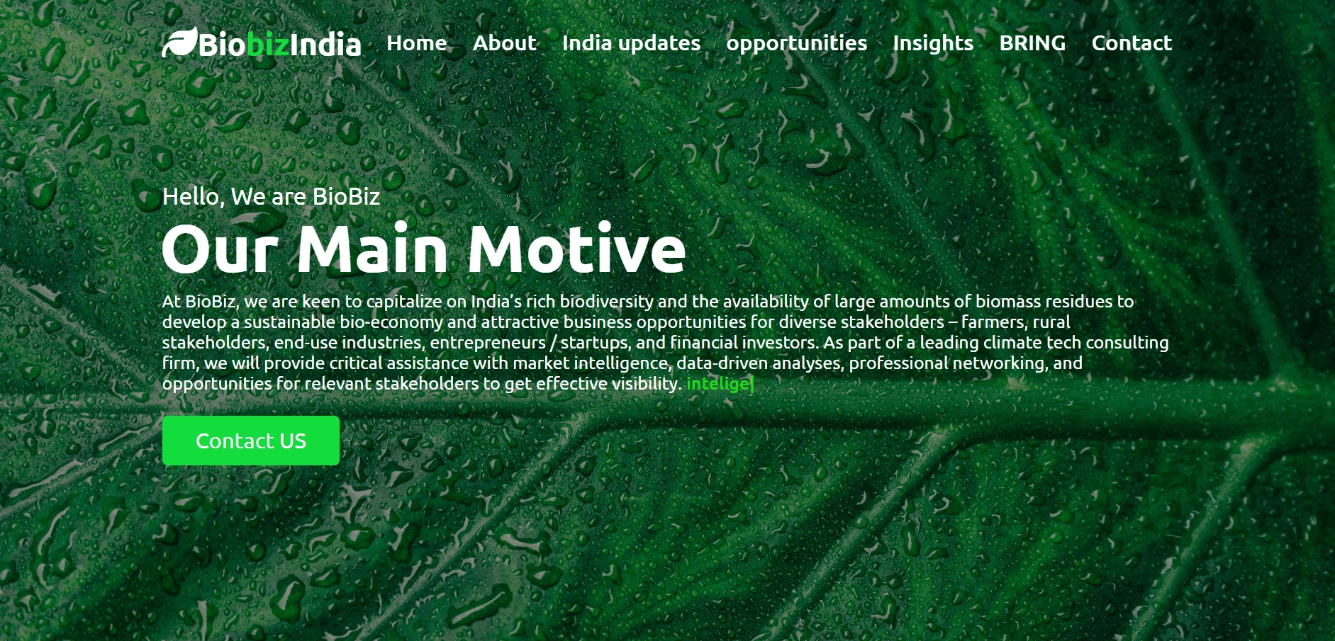 biobiz india