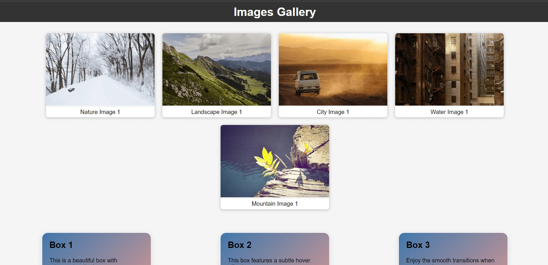image gallery